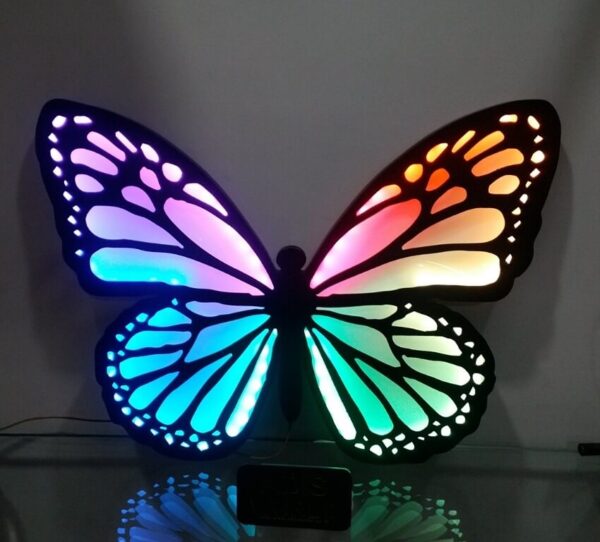 Beautiful Butterfly with Rainbow Color Light Effect